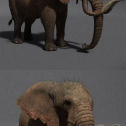 3D model ELEPHANT Rigged for Maya