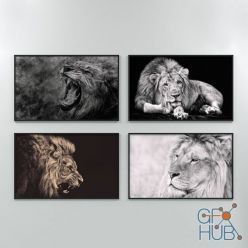 3D model Pictures of lions