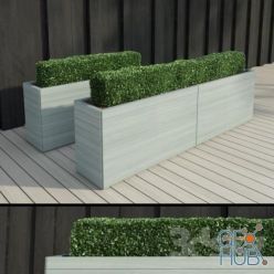 3D model Hedge in a modern rectangular pots