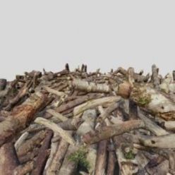 3D model Pile of Sticks (fbx)