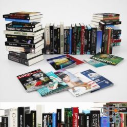 3D model Large set of books and magazines