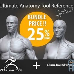 3D model Gumroad – Ultimate Anatomy Tool Reference for Artists V2