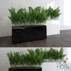 3D model Modern Indoor Foliage