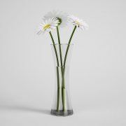 3D model Laconic bouquet of chamomiles