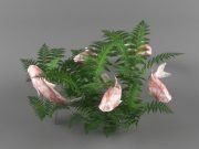 3D model Koi carps fish