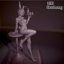 3D model 18K Anatomy - Bunny Girl – 3D Print