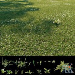 3D model Wild grass exterior (max 2013)