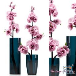 3D model SPRING FLOWERS