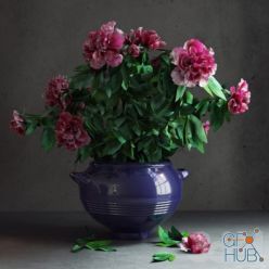 3D model Peonies garden (max 2010, fbx)