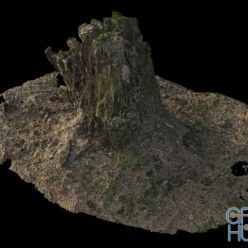 3D model Old tree stump 05 3D-scan