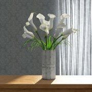 3D model Callas in the vase