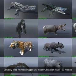 3D model CGTrader – Lowpoly Wild Animals Rigged 3D models Collection Pack