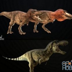 3D model Tyrannosaurus Rex 2 (PBR)