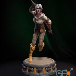 3D model Ciri The Witcher