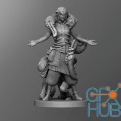 3D model ﻿Carnomancer Female – 3D Print