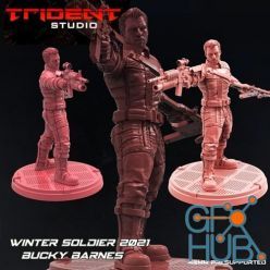 3D model Winter Soldier – 3D Print