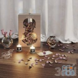 3D model Set with Voluspa candles and roses