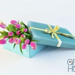 3D model Tulips in a blue box