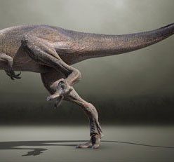 3D model Tyrannosaurus REX PBR