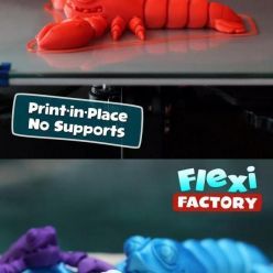 3D model Cute Flexi Print-in-Place Lobster – 3D Print