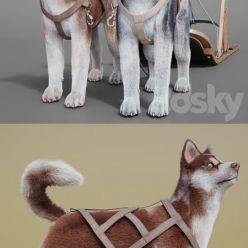 3D model Dog team Huskies sled pulka