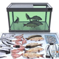 3D model Fish store