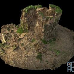 3D model Old Stump with moss 03 3D-Scan