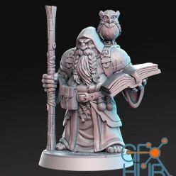 3D model Dramnir - Dwarf Wizard with owl – 3D Print