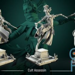 3D model Cult Assassin