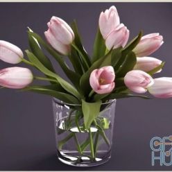 3D model Tulips in three color variations