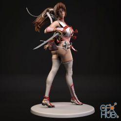 3D model Kasumi - Dead Of Alive