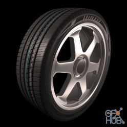 3D model Vicltty Wheel