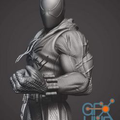 3D model Scarlet Spiderman – 3D Print