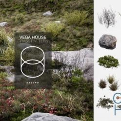 3D model Vega House Landscape Grass & Stones 3D Models