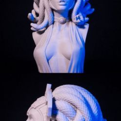 3D model Medusa Bust