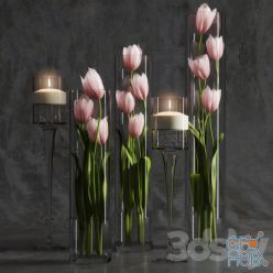 3D model Tulips 2