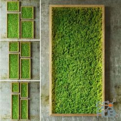 3D model Moss green walls