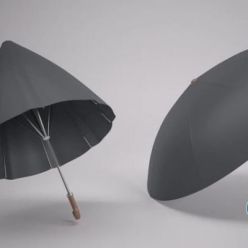 3D model Rigged and wired Umbrella