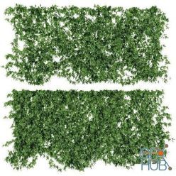 3D model Wall Leaf 06