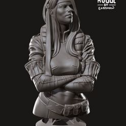 3D model Rogue Bust – 3D Print