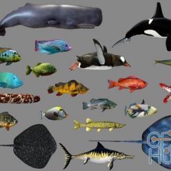 3D model Cubebrush – Low poly Fish Collection Animated Pack 3