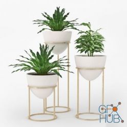 3D model Flowerpots with indoor plants