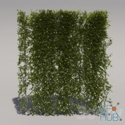 3D model Bush trimmed, high