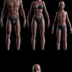 3D model Realistic People Basemesh Preview