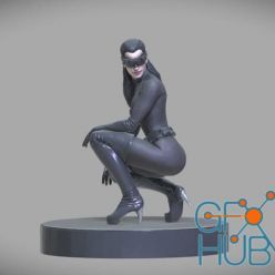 3D model Catwoman – 3D Print