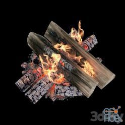 3D model Fire and firewood with animation