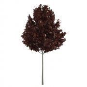 3D model Young red maple tree