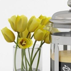 3D model French Press Coffee &Tea Maker Kitchen supreme