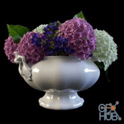 3D model Bouquet with hydrangea (max 2011)