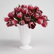 3D model Red and white tulips